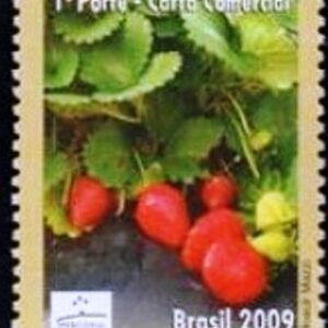 2009 - Morango