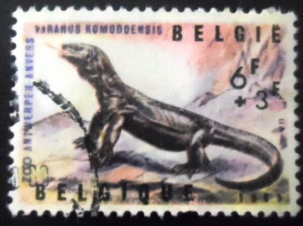 1965 - Komodo Dragon