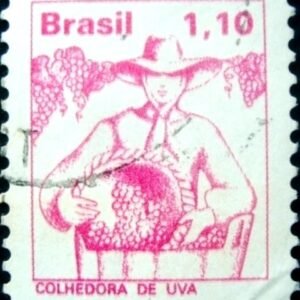 1977 - Colhedora de uva
