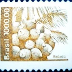 1984 - Babaçu
