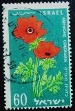 1959 - Anemone coronaria