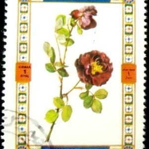 1972 - Roses 1437 A