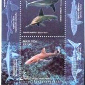 2006 - Tubarões