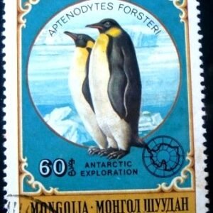 1980 - Emperor Penguin