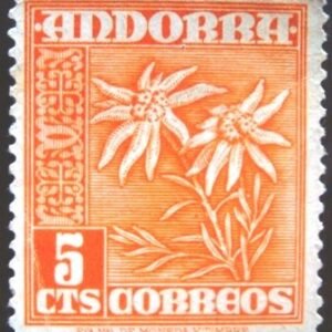 1953 - Edelweis