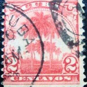 1899 - Cuban Royal Palm