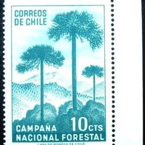 1967 - Araucária