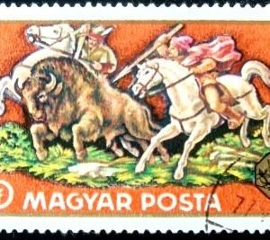 1971 - European Bison