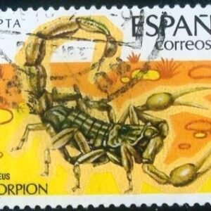 1979 - Scorpion