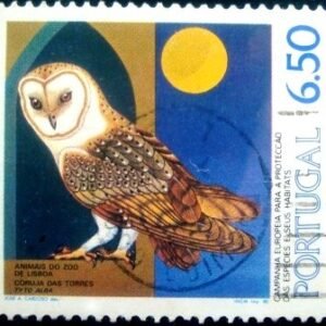 1980 - Western Barn Owl