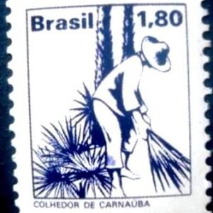 1979 - Colhedor de Carnaúba