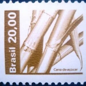 1982 - Cana de Açucar