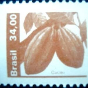 1980 - Cacau