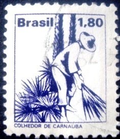 1978 - Colhedor de Carnauba