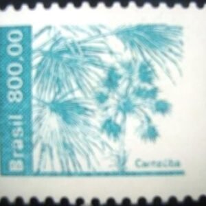1984 - Carnaúba