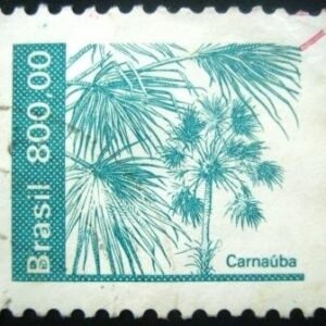 1984 - Carnaúba