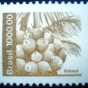 1984 - Babaçu