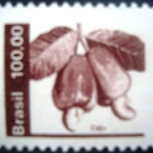 1981 - Caju