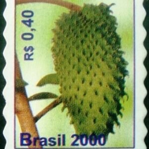 2000 - Graviola