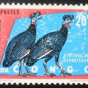 1963 -  Crested Guineafowl