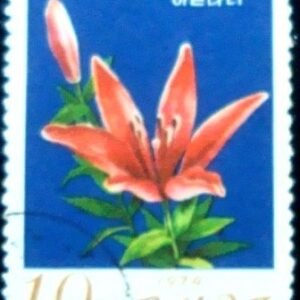 1974 - Shooting Star Lily