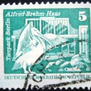 1974 - Rosy Pelican