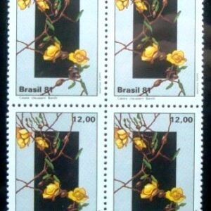 1981 - Cassia Clausseni
