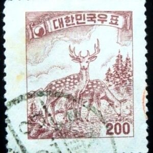 1957 - Sika Deer