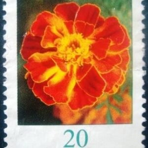 2005 - Tagetes erecta