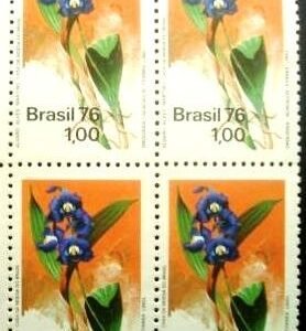 1976 - Orquídea
