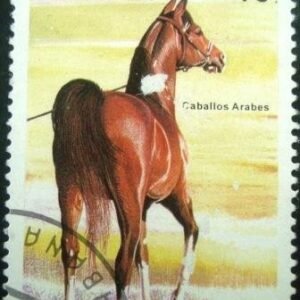 1995 - Chestnut Arabian Horse