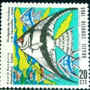 1969 - Acará Bandeira