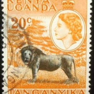 1954 - Lion