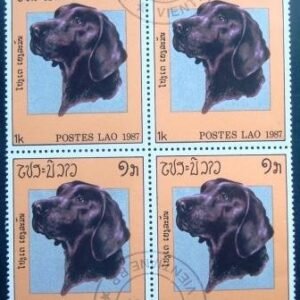 1987 - Labrador Retriever