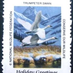 0000 - Trumpeter Swan