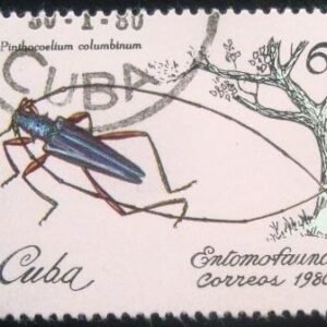 1980 - Longhorn Beetle