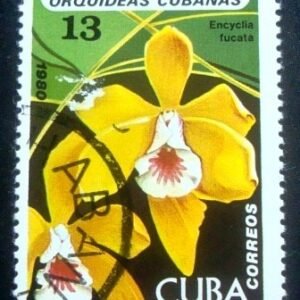 1980 - Encyclia fucata