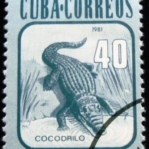 1981 - Cuban Crocodile