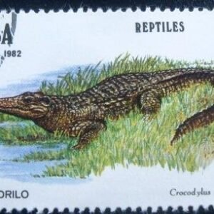 1982 - Cuban Crocodile