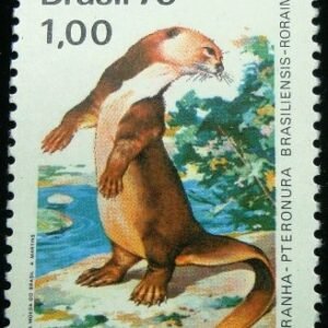 1975 - Ariranha