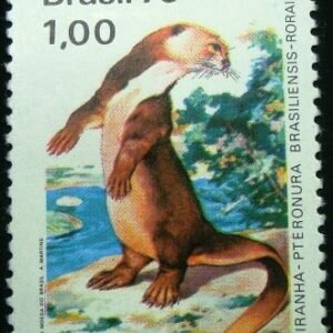 1975 - Ariranha