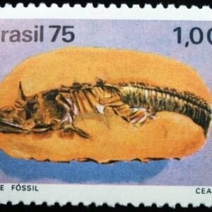 1975 - Peixe Fóssil - CE