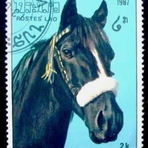 1995 -  Horse