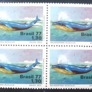 1977 - Baleia Azul