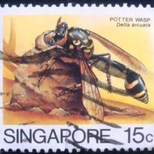 1985 - Potter Wasp