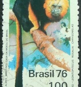 1976 - Mico Leão