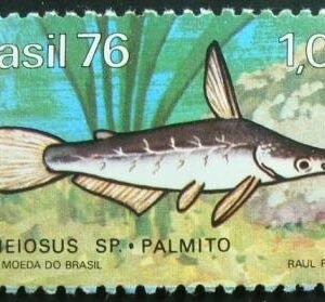 1976 - Palmitto