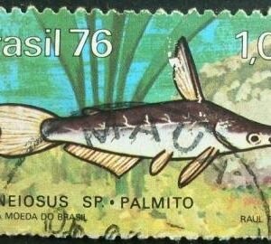 1976 - Palmitto