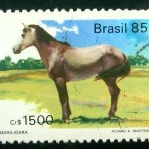 1985 - Marajoara