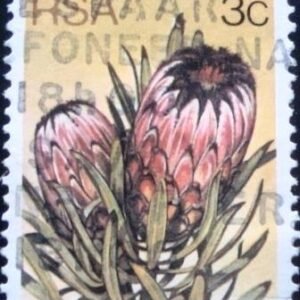 1979 - Oleanderleaf Protea